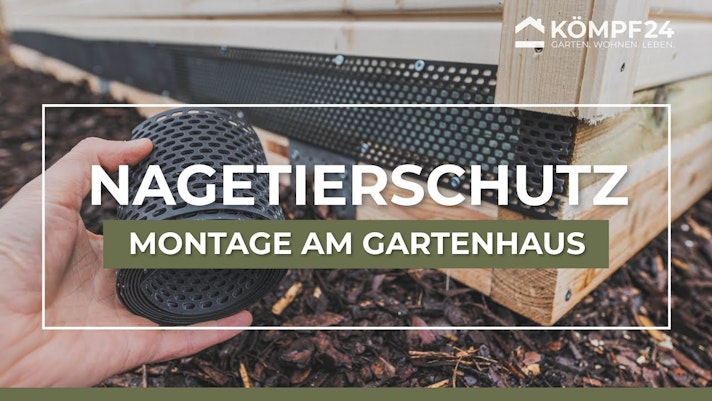 Vorschaubild Youtube-Video Vorschaubild Youtube-Video